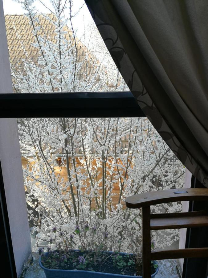 Un Verger Dans La Ville Saint-Parres-aux-Tertres Zewnętrze zdjęcie